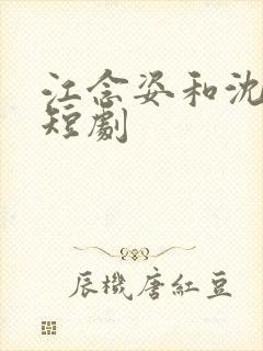 江念姿和沈程的短剧