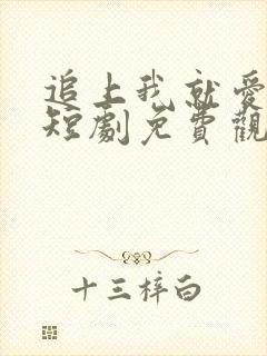 追上我就爱上你短剧免费观看