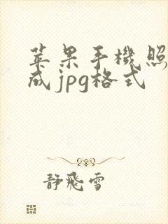 苹果手机照片改成jpg格式