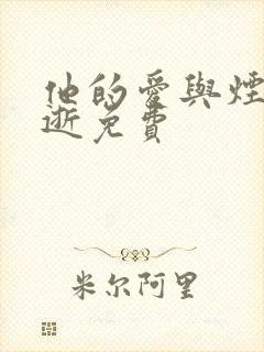 他的爱与烟火同逝免费