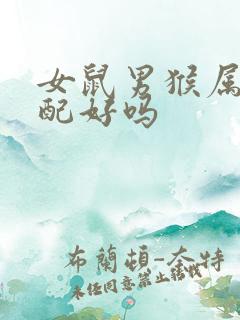 女鼠男猴属相婚配好吗