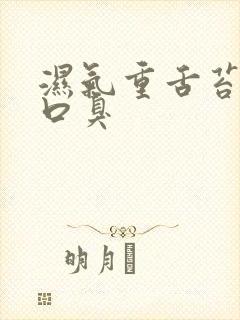 湿气重舌苔黄腻口臭