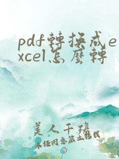pdf转换成excel怎么转