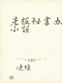 老板秘书办公室小说