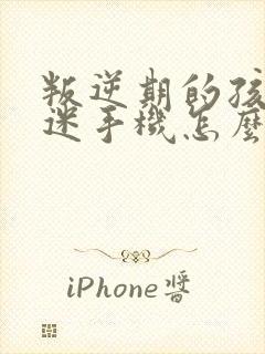 叛逆期的孩子沉迷手机怎么北办