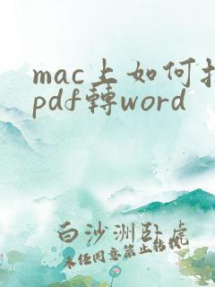 mac上如何把pdf转word