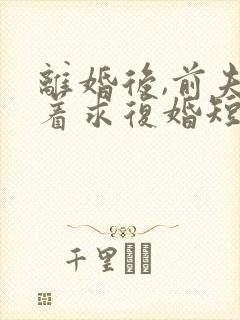 离婚后,前夫哭着求复婚短剧免费观看