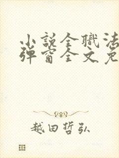 小说全职法师无弹窗全文免费阅读
