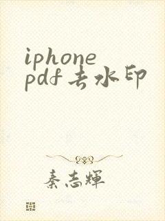 iphone pdf去水印