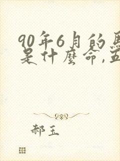 90年6月的马是什么命,五行属性