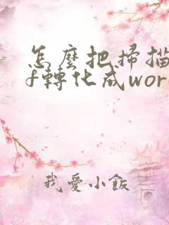 怎么把扫描pdf转化成word
