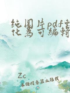 纯图片pdf转化为可编辑文件