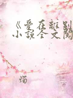 《爱在离别后》小说全文阅读