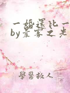 一婚还比一婚高by晨雾之光