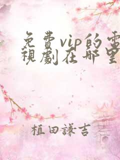 免费vip的电视剧在哪里看