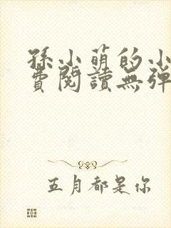 孙小萌的小说免费阅读无弹窗