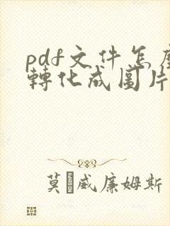 pdf文件怎么转化成图片