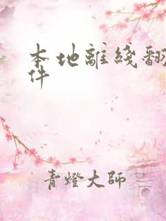 本地离线翻译软件