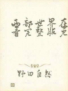 西部世界在线观看完整版免费