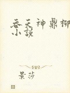 吞天神鼎柳无邪小说