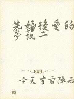 先婚后爱的小说梦筱二