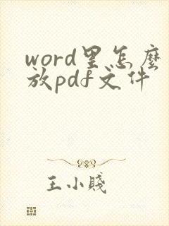 word里怎么放pdf文件