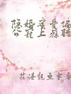 隐婚蜜爱偏执老公宠上瘾听小说