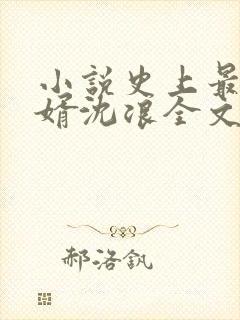 小说史上最强赘婿沈浪全文阅读