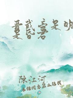 晋武帝是明君还是昏君