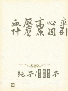 血压高心率低是什么原因引起的