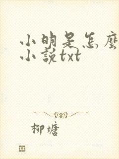 小明是怎么死的小说txt