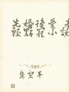 先婚后爱 老公轻点宠小说