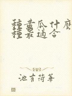 种黄瓜什么时候种最适合