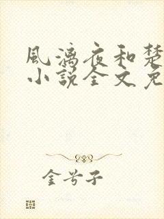 风漓夜和楚倾歌小说全文免费