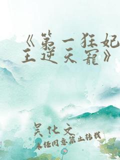 《第一狂妃:邪王逆天宠》