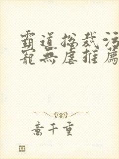 霸道总裁污文甜宠无虐推荐
