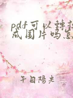 pdf可以转换成图片吗怎么弄