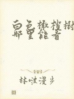 白色橄榄树全集哪里能看