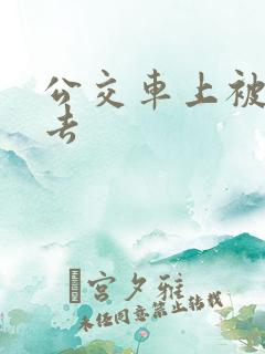 公交车上被插进去