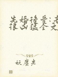 先婚后爱:老公很凶猛全文txt下载