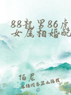 88龙男86虎女属相婚配好吗