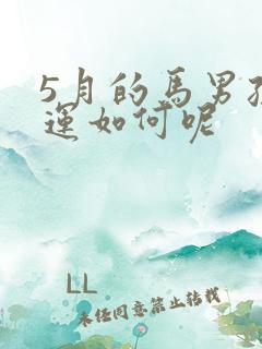 5月的马男孩命运如何呢