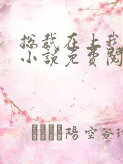 总裁在上我在下小说免费阅读全文