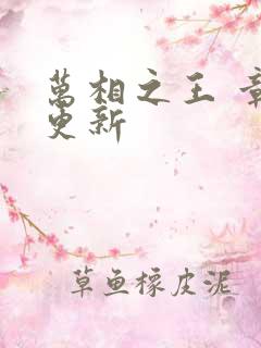 万相之王 章节更新