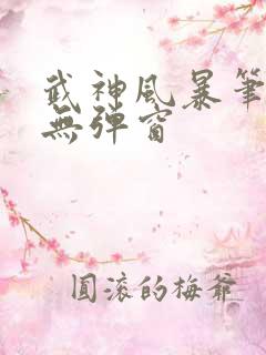 武神风暴笔趣阁无弹窗