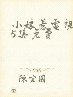 小娘惹电视剧45集免费