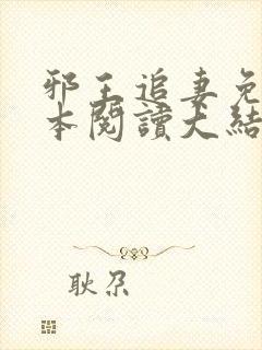 邪王追妻免费全本阅读大结局