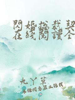 闪婚总裁契约妻在线阅读全文