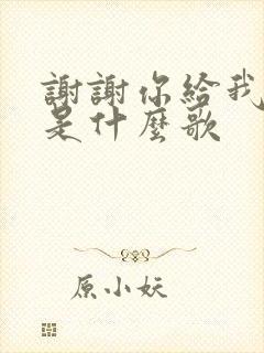 谢谢你给我的爱是什么歌