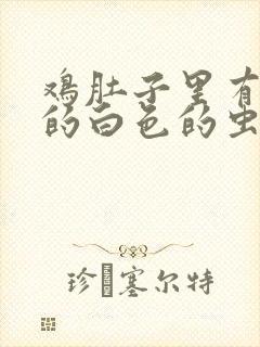 鸡肚子里有长长的白色的虫